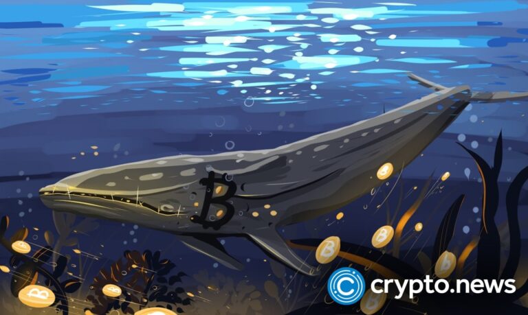 Bitcoin whales add 61,568 BTC as price slips again